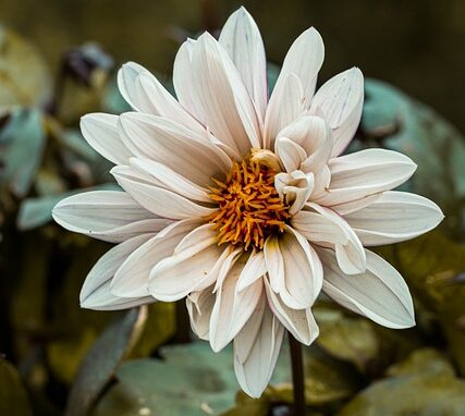 Het gevoel van verlies