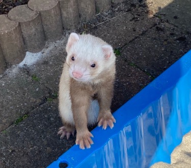 Fret Finn Foto van Fret Finn