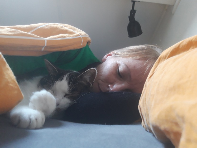 De kunst van het leiden van een ‘ander’ normaal leven