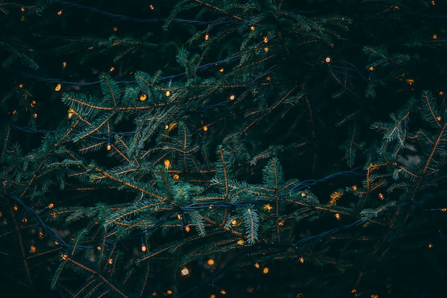 Kerstmis