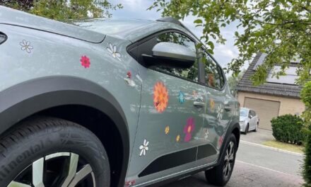 Rijgeschiktheids onderzoek