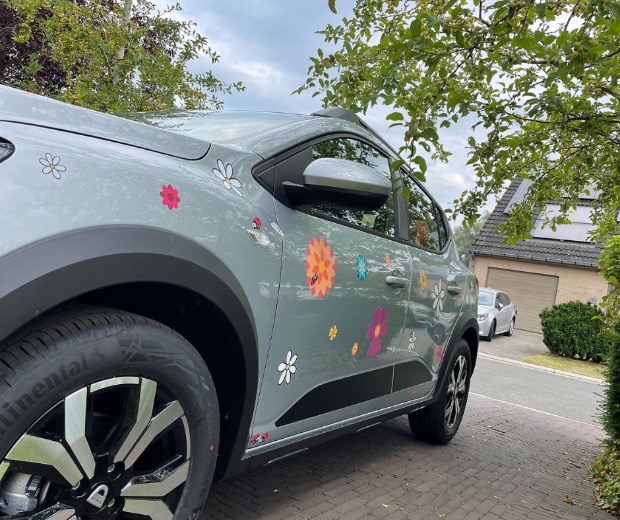 Rijgeschiktheids onderzoek